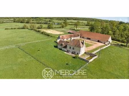 propriété avec piscine saint-menoux (03)