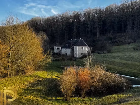 vente propriété 8 pièces 310 m² à authon-du-perche (28330)  569 700 €