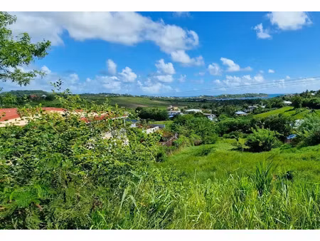 vente terrain 1000 m² à le vauclin (97280)  148 500 €