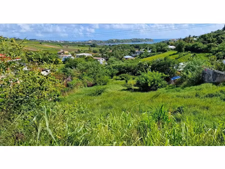 vente terrain à batir 2203 m² à le vauclin (97280)  271 000 €