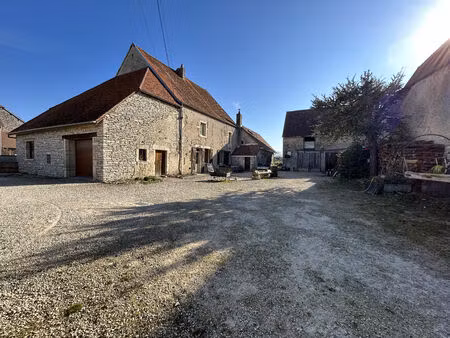 vente maison 10 pièces 220 m² viévigne (21310)