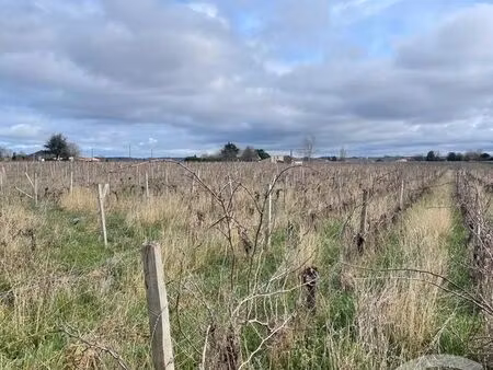 terrain à vendre - 95274 m2 - lussac - 33 - aquitaine