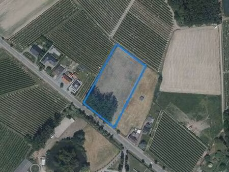 terrain à vendre à zepperen € 47.000 (l4hg6) - not. frank de wilde | zimmo