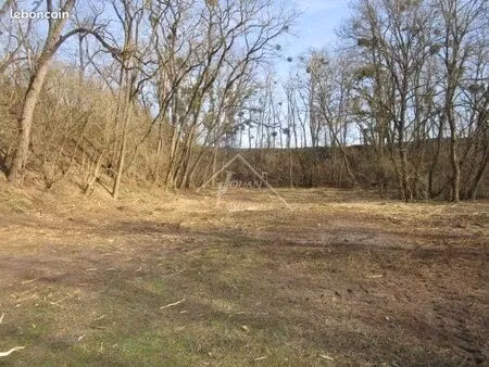 terrain 5019 m² varennes-sur-allier