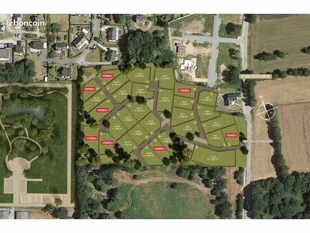 terrain - arborescence - terrains