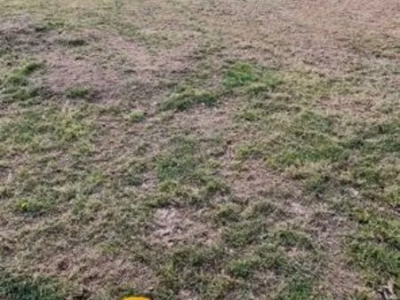 terrains de 800 m2 à 1000 m2