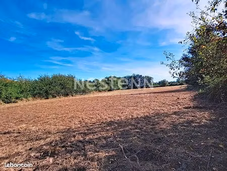 terrain 8700 m² beaufort