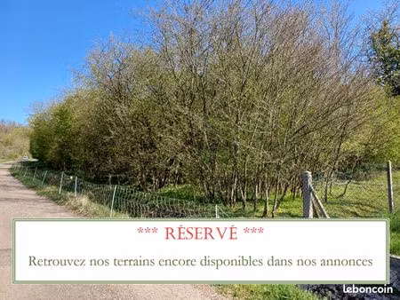 beau terrain de loisirs