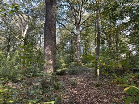 terrain 276474 m² le vaudoué