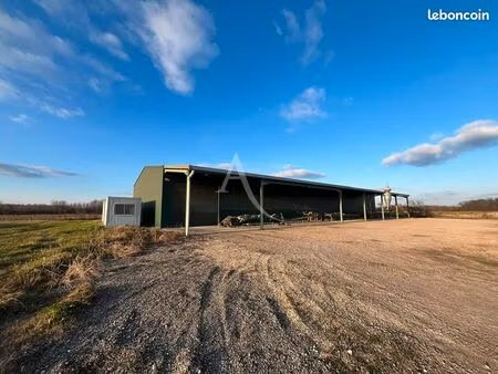 entrepôt 672 m² villaudric