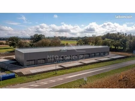 boutique 177 m² sessenheim