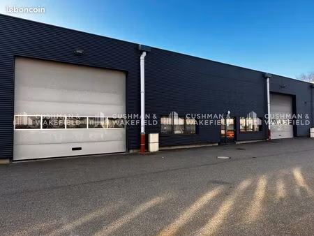 local d'activité 966 m²