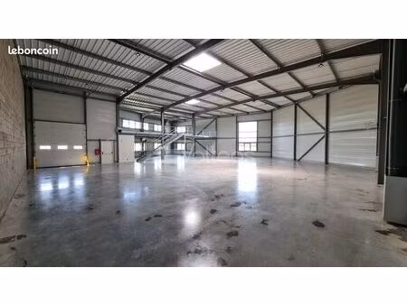 local d'activité 589 m²