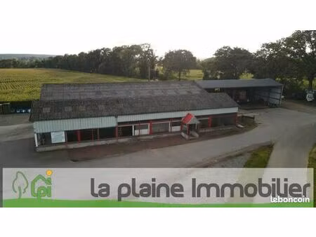 local 6675 m² magny le desert