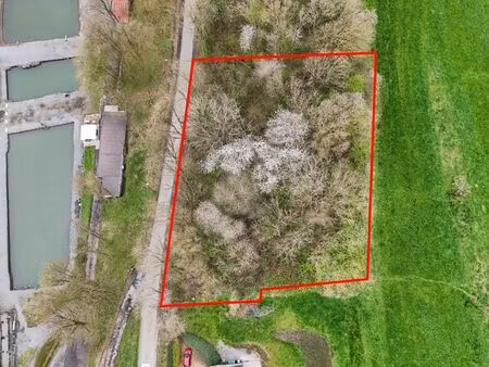 belle parcelle boisée isolée - 2969 m²