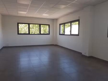 location locaux professionnels 198 m² à castanet-tolosan (31320)  1 740 €