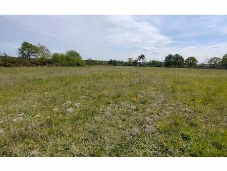 terrain bas-mauco m² t- à vendre  374 000 €