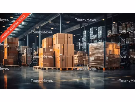 locaux mixtes a louer