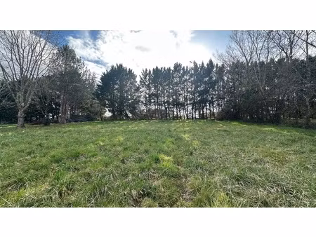 terrain à vendre de 2 424 m2 st nexans (24)