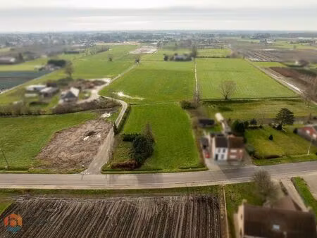 terrain à vendre à putte € 254.000 (l4hx5) - boonstra vastgoedgroep | zimmo