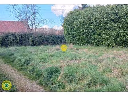 terrain constructible