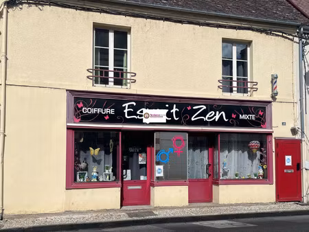 immeuble - investissement locatif le mêle sur sarthe