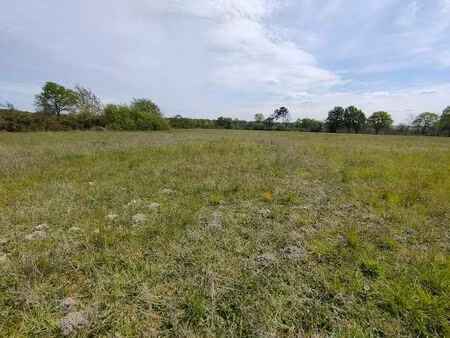 vente commerce 41070 m² bas-mauco (40500)