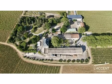 vente château 55 pièces