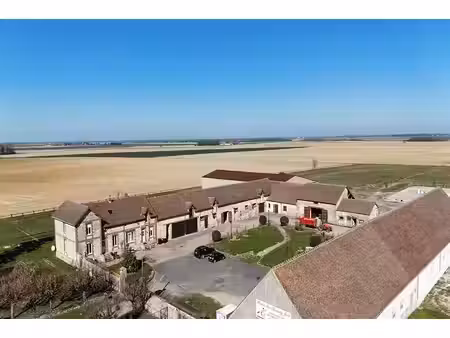 seine et marne 77 propriété equestre 30 box carrière manège padd
