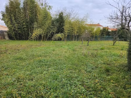 vente terrain à sainte-gemme-la-plaine (85400)  19 000 €
