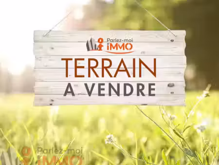 terrain constructible