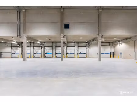 disponible immédiatement plateforme logistique neuve de 10 000 m²  divisible proposée à la