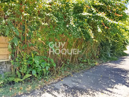 terrain le tampon centre-ville 500 m2