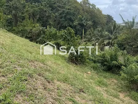 vente terrain 1000 m² à la trinite (97220)  95 000 €
