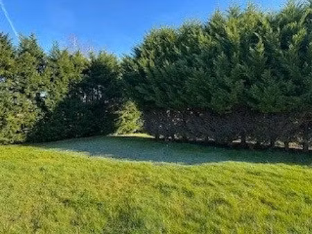 vente terrain 988 m² à loupes (33370)  165 000 €