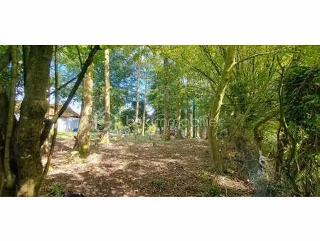 maison longere de 94 m² à rimboval