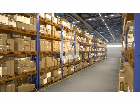 dpt guyane  à louer cayenne entrepôt de 190 m²