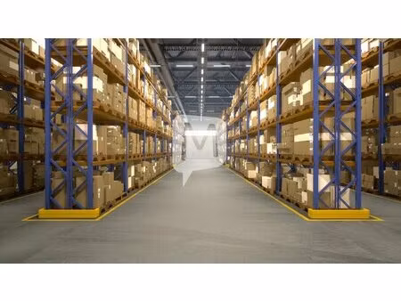 dpt guyane  à louer cayenne entrepôt de 290 m²