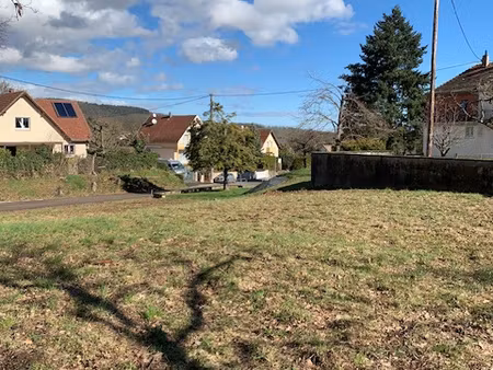 opportunité terrain au calme à wuenheim