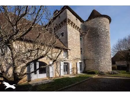 vente maison 7 pièces 295 m² ambeyrac (12260)