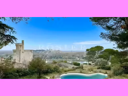 maison avec piscine villeneuve-les-avignon (30)