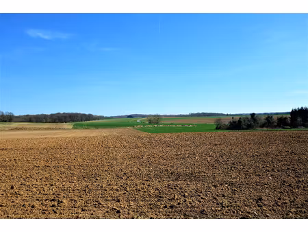 en vente : terrain constructible de 1516 m²