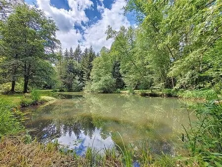 splendide parcelle boisée avec étangs