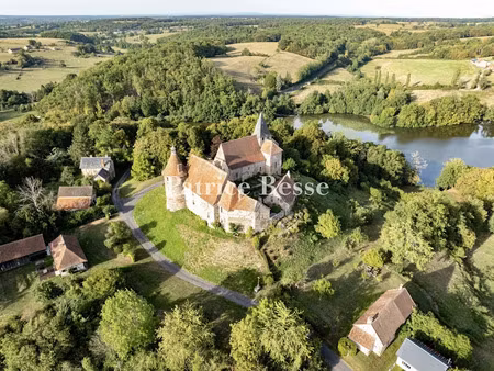 vente château 20 pièces 1030 m² à châtelperron (03220)  895 000 €