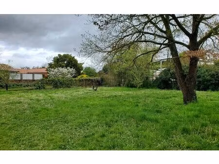 terrain monbéqui m² t- à vendre  76 000 €