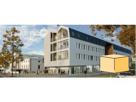 immobilier professionnel à vendre belley