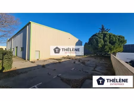 v9499 - montpellier sud - frejorgues - vente - entrepot - local d'activite - 1 620m²