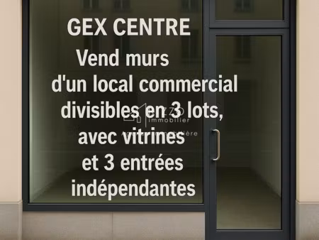 gex centre  vente murs d'un local com. divisibles en 3 lots
