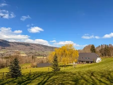maison de luxe de 8 pièces en vente à menthonnex-en-bornes  auvergne-rhône-alpes