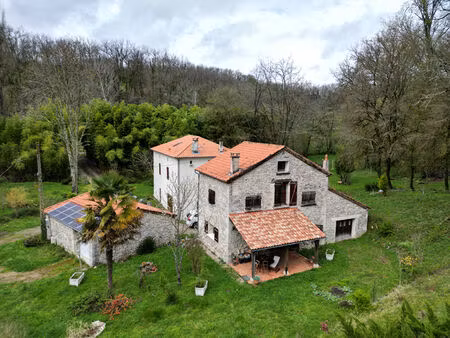 ensemble de deux maison en pierres - sauvagnas 7 pièce(s) 163.75 m2